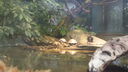 DSC04094.JPG