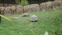 DSC04096.JPG