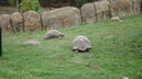 DSC04097.JPG
