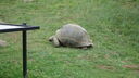 DSC04098.JPG