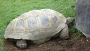 DSC04101.JPG