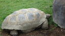 DSC04102.JPG