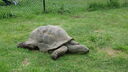 DSC04103.JPG