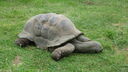DSC04104.JPG