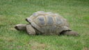 DSC04105.JPG