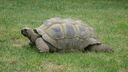 DSC04106.JPG