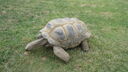 DSC04110.JPG