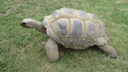 DSC04111.JPG