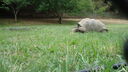 DSC04114.JPG