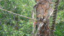 DSC04115.JPG