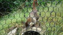 DSC04116.JPG