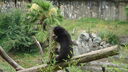 Filename=DSC04119.JPG
Filesize=392KiB
Dimensions=1080x608
Date added=Mar 26, 2024 DSC04119.JPG