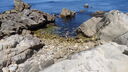 Filename=DSC04158.JPG
Filesize=382KiB
Dimensions=1080x608
Date added=Mar 26, 2024 DSC04158.JPG