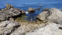 Filename=DSC04159.JPG
Filesize=370KiB
Dimensions=1080x608
Date added=Mar 26, 2024 DSC04159.JPG