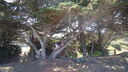 Filename=DSC04161.JPG
Filesize=360KiB
Dimensions=1080x608
Date added=Mar 26, 2024 DSC04161.JPG