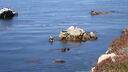 Filename=DSC04163.JPG
Filesize=330KiB
Dimensions=1080x608
Date added=Mar 26, 2024 DSC04163.JPG