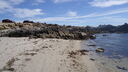 DSC04181.JPG