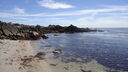 DSC04182.JPG