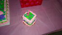 DSC04208.JPG