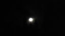Filename=DSC04248.JPG
Filesize=155KiB
Dimensions=1080x608
Date added=Mar 26, 2024 DSC04248.JPG
