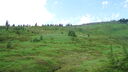 Filename=DSC04287.JPG
Filesize=335KiB
Dimensions=1080x608
Date added=Mar 26, 2024 DSC04287.JPG
