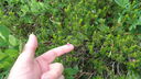 Filename=DSC04290.JPG
Filesize=406KiB
Dimensions=1080x608
Date added=Mar 26, 2024 DSC04290.JPG