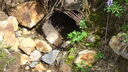 Filename=DSC04291.JPG
Filesize=407KiB
Dimensions=1080x608
Date added=Mar 26, 2024 DSC04291.JPG