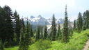Filename=DSC04293.JPG
Filesize=380KiB
Dimensions=1080x608
Date added=Mar 26, 2024 DSC04293.JPG