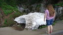 Filename=DSC04298.JPG
Filesize=355KiB
Dimensions=1080x608
Date added=Mar 26, 2024 DSC04298.JPG