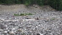 Filename=DSC04326.JPG
Filesize=404KiB
Dimensions=1080x608
Date added=Mar 26, 2024 DSC04326.JPG