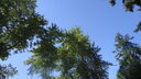Filename=DSC04353.JPG
Filesize=343KiB
Dimensions=1080x608
Date added=Mar 26, 2024 DSC04353.JPG