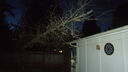 DSC04382.JPG