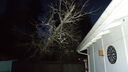 DSC04384.JPG