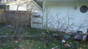 DSC04385.JPG