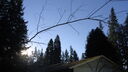 DSC04387.JPG