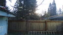 DSC04388.JPG