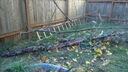 DSC04389.JPG