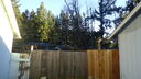 DSC04391.JPG