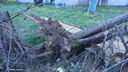 DSC04393.JPG