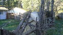 DSC04395.JPG