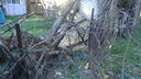 DSC04396.JPG
