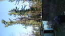 DSC04405.JPG