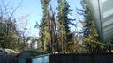 DSC04406.JPG