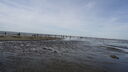 DSC04480.JPG