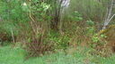 Filename=DSC04520.JPG
Filesize=370KiB
Dimensions=1080x608
Date added=Mar 26, 2024 DSC04520.JPG