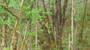 Filename=DSC04521.JPG
Filesize=375KiB
Dimensions=1080x608
Date added=Mar 26, 2024 DSC04521.JPG
