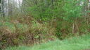 Filename=DSC04525.JPG
Filesize=393KiB
Dimensions=1080x608
Date added=Mar 26, 2024 DSC04525.JPG
