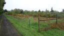 Filename=DSC04527.JPG
Filesize=322KiB
Dimensions=1080x608
Date added=Mar 26, 2024 DSC04527.JPG
