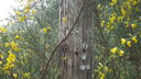 Filename=DSC04531.JPG
Filesize=399KiB
Dimensions=1080x608
Date added=Mar 26, 2024 DSC04531.JPG