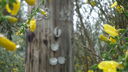 Filename=DSC04532.JPG
Filesize=252KiB
Dimensions=1080x608
Date added=Mar 26, 2024 DSC04532.JPG